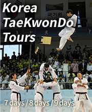 Korea TaeKwonDo Tours