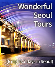 Wonderful Seoul Tour